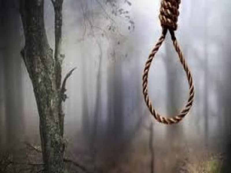 पार्क में पेड़ से लटके मिले लड़का लड़की शव आत्महत्या या
