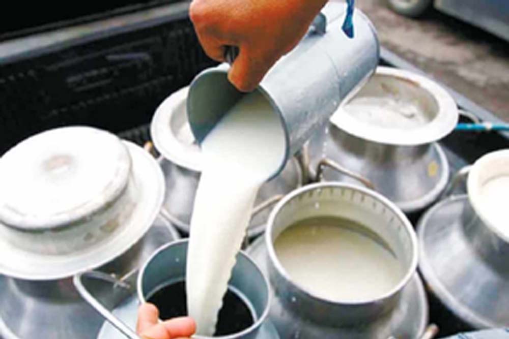 भारत का दूध उत्पादन पिछले 10 वर्षों में 6356 प्रतिशत