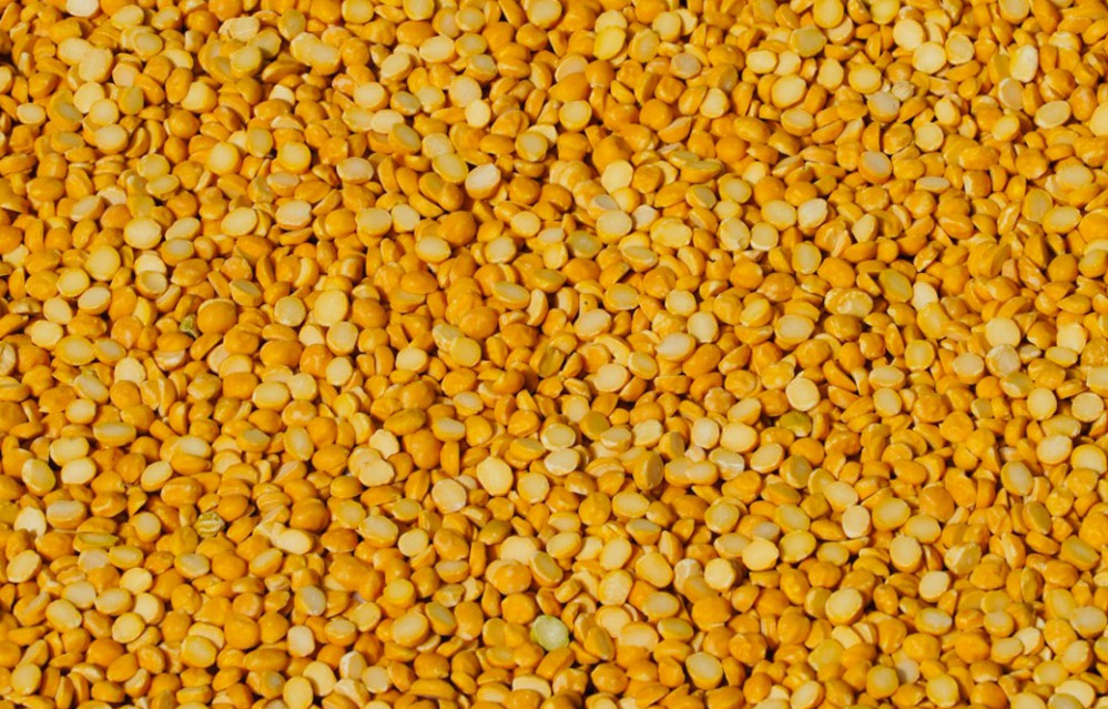 मोदी सरकार किसानों से एमएसपी पर खरीद रही तुअर दाल