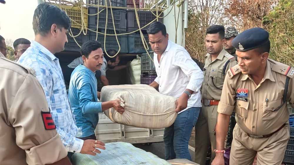 सब्जी कैरेट के नीचे छुपाकर ले जा रहे 243 किलो