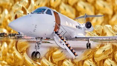 1KG गोल्x200dड से 2040 तक खरीद लेंगे प्राइवेट जेट एक्x200dसपर्ट
