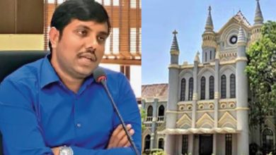 InShot 20250301 10532452728129