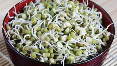 अंकुरित मूंग खाने से इम्यूनिटी होगी स्x200dट्रॉन्x200dग