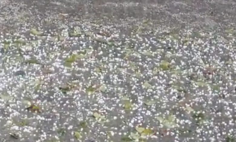 अप्रैल के शुरुआती दिनों में मध्यप्रदेश में ओले-बारिश और आंधी का स्ट्रॉन्ग सिस्टम एक्टिव हो रहा 1 अप्रैल के शुरुआती दिनों में मध्यप्रदेश में ओले बारिश और आंधी