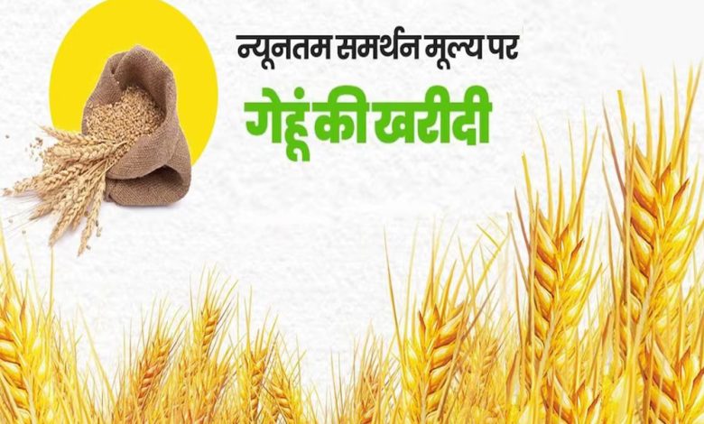 आज से मध्यप्रदेश में गेहूं खरीदी भोपाल में 60 सेंटर