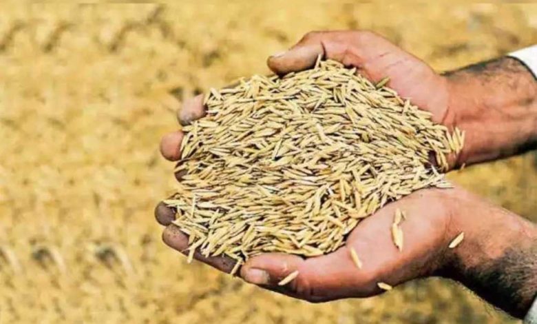 इटारसी मंडी में धान की बढ़ती आवक को देख प्रशासन ने 21 से 29 मार्च तक मंडी सातों दिन खोलने का फैसला लिया 1 इटारसी मंडी में धान की बढ़ती आवक को देख प्रशासन