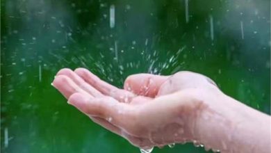 कैथल में जिलेभर में हुई बेमौसमी बारिश से किसानों के