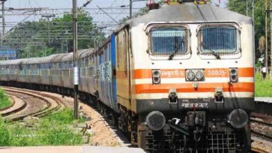 छत्तीसगढ़ एक्सप्रेस में बंदर ने रेलवे अधिकारियों व कर्मचारियों को किया परेशान 13 छत्तीसगढ़ एक्सप्रेस में बंदर ने रेलवे अधिकारियों व कर्मचारियों को