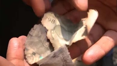 जस्टिस यशवंत वर्मा के घर 15 करोड़ की भारी भरकम