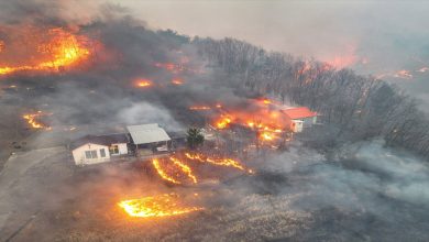 द कोरिया में जंगल की आग ने मचाया कोहराम 18