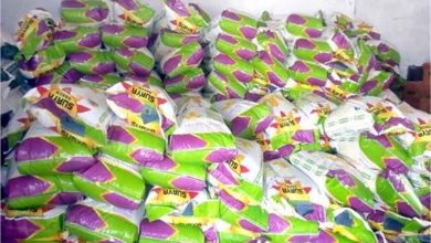 नकली बीच बेचने वालों के खिलाफ कड़ी कार्रवाई की जाए