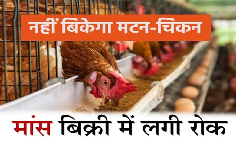 नवरात्रि में मैहर, भोपाल और इंदौर में भी नहीं बिकेगा मांस, दुकानों का लाइसेंस रद करने का आदेश 1 नवरात्रि में मैहर भोपाल और इंदौर में भी नहीं बिकेगा