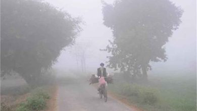 पंजाब के मौसम का बदल गया मिजाज राज्य में ठंड