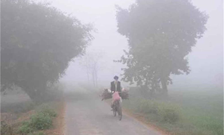 पंजाब के मौसम का बदल गया मिजाज राज्य में ठंड