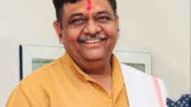 परिवेश पोर्टल पर आवेदन प्राप्त होने पर भीनमाल बागोड़ा सड़क के