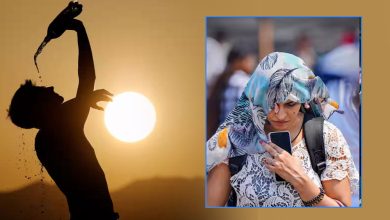प्रदेश में मार्च में पड़ेगी प्रचंड गर्मी IMD ने दी