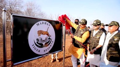 प्रदेश में वन्य जीव पर्यटन से होगी रोजगार में वृद्धि