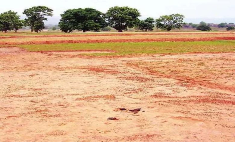 प्रशासन का भू रिकार्ड गड़बड़ भोपाल में ही 30 हजार लोग