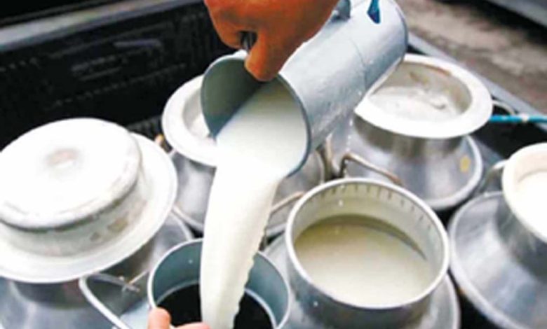 भारत का दूध उत्पादन पिछले 10 वर्षों में 6356 प्रतिशत