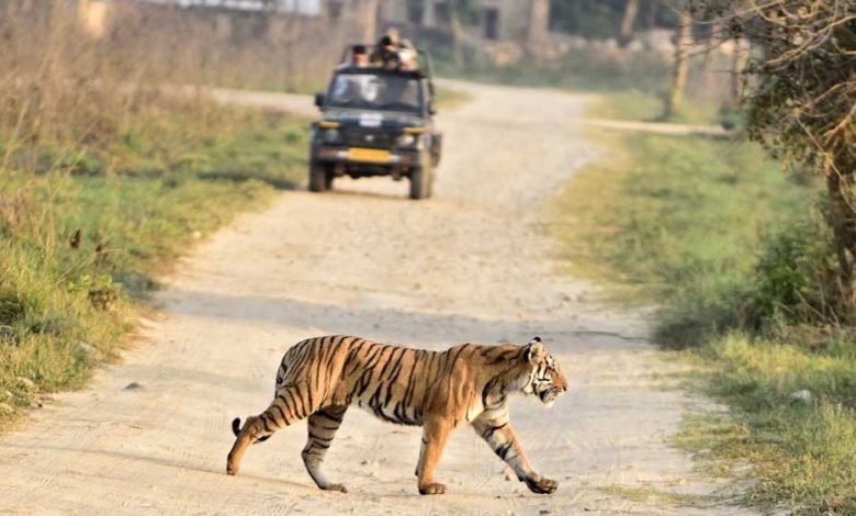 माधव नेशनल पार्क बना मध्यप्रदेश का 9वाँ टाइगर रिजर्व
