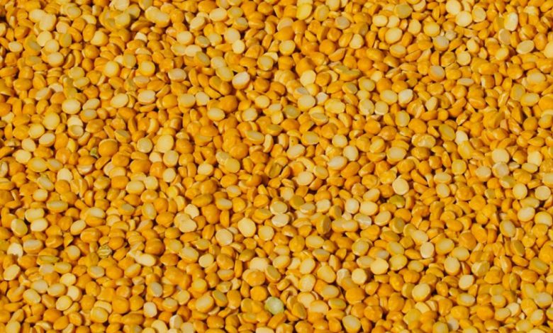 मोदी सरकार किसानों से एमएसपी पर खरीद रही तुअर दाल