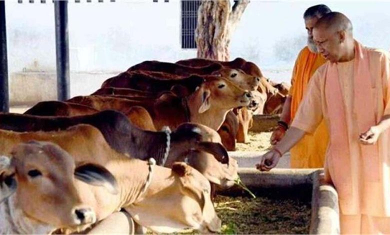 योगी सरकार का महत्वपूर्ण कदम, 'प्राकृतिक खेती को बढ़ावा देने के लिए गोबर, मूत्र का होगा इस्तेमाल' 1 योगी सरकार का महत्वपूर्ण कदम प्राकृतिक खेती को बढ़ावा देने