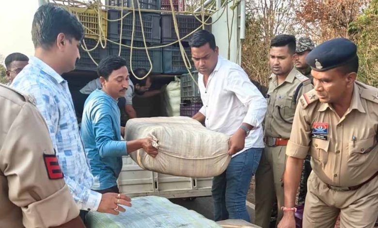 सब्जी कैरेट के नीचे छुपाकर ले जा रहे 243 किलो गांजा जप्त 1 सब्जी कैरेट के नीचे छुपाकर ले जा रहे 243 किलो