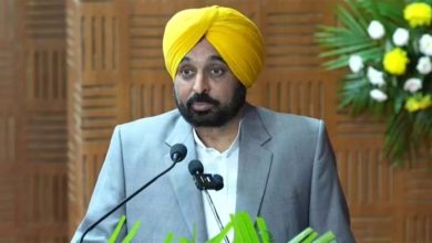 सीएम मान का ध्यान युवाओं के लिए रोजगार पर केंद्रित