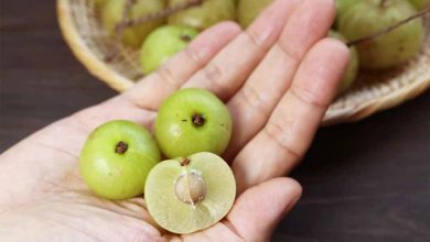 सेहत के लिए बहुत जरूरी है आंवले का सेवन