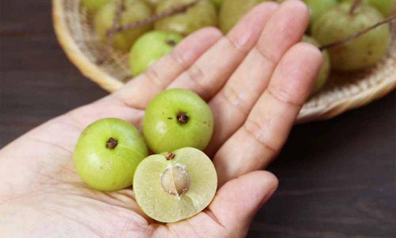 सेहत के लिए बहुत जरूरी है आंवले का सेवन... 1 सेहत के लिए बहुत जरूरी है आंवले का सेवन