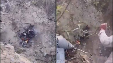 हरियाणा में सेना का फाइटर जेट अचानक आकर गिरा दूर