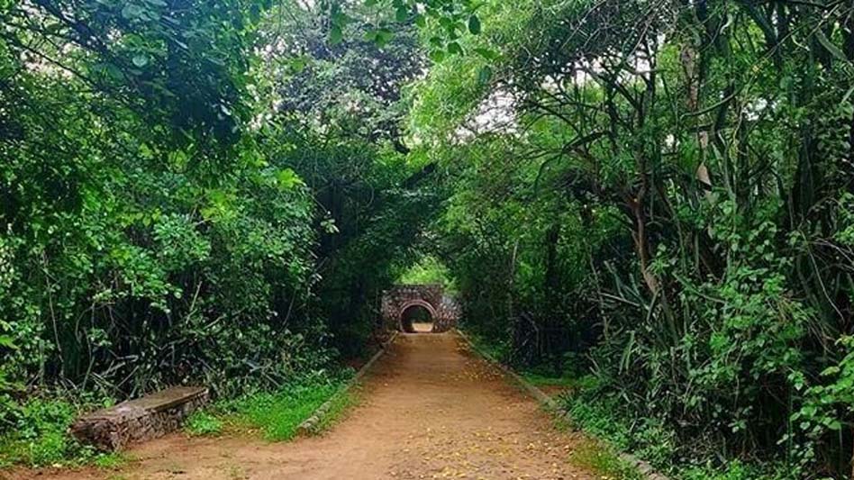 जबलपुर के ठाकुरताल से लगी पहाड़ी पर शहर का पहला