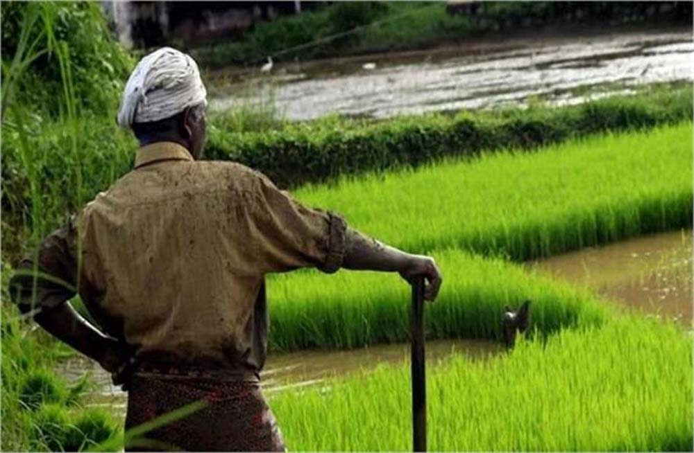 प्रदेश में किसानों को ट्यूबवेल कनेक्शन के लिए बिजली सब्सिडी