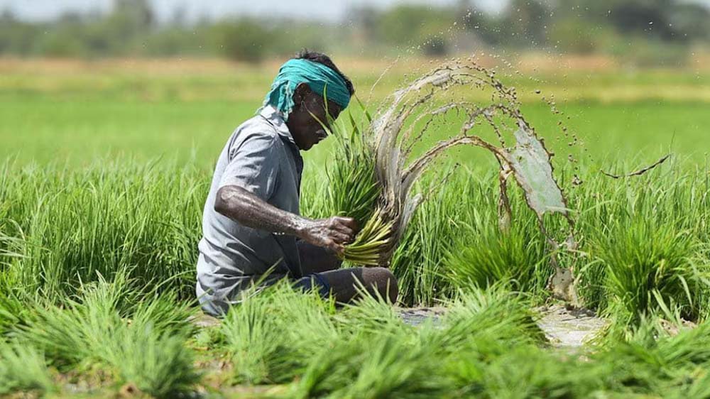 प्रधानमंत्री फसल बीमा योजना में आर्टिफिशियल इंटेलिजेंस और मशीन लर्निंग पर प्रशिक्षण 6 प्रधानमंत्री फसल बीमा योजना में आर्टिफिशियल इंटेलिजेंस और मशीन लर्निंग
