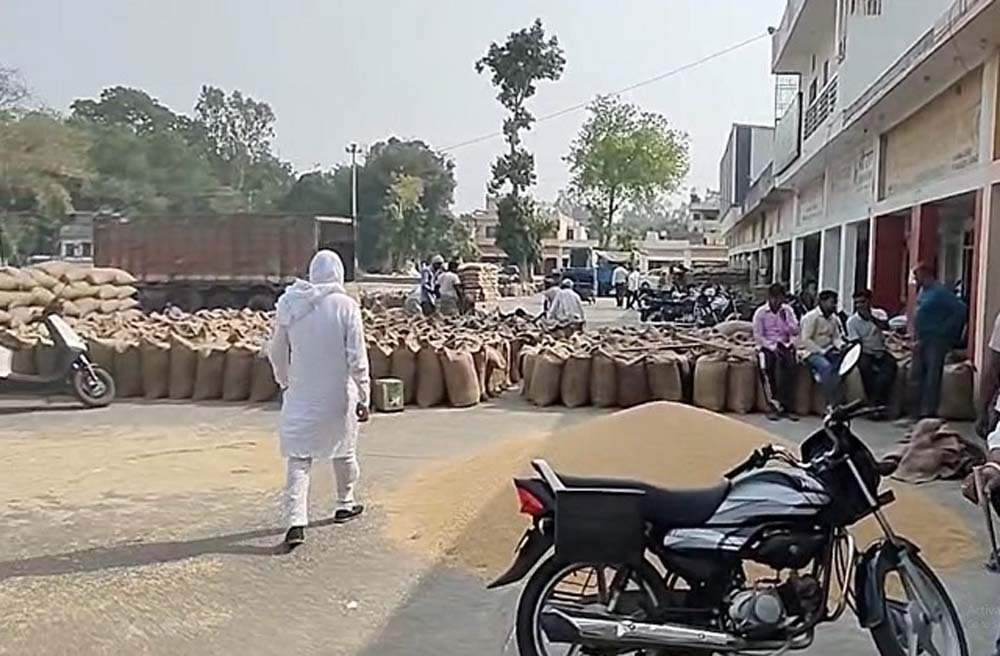 मंडियों में आढ़तियों द्वारा खरीदे जा रहे गेहूं को लेकर सीएम फ्लाइंग की टीम ने की रेड 6 मंडियों में आढ़तियों द्वारा खरीदे जा रहे गेहूं को लेकर