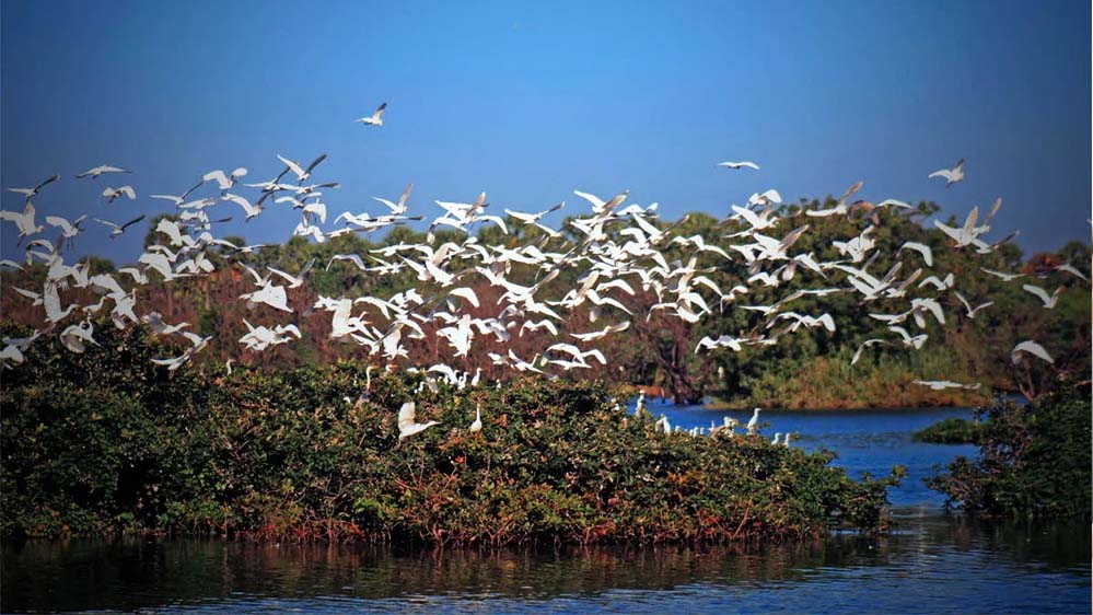 मध्य प्रदेश सरकार ने भारत के संविधान निर्माता डॉक्टर भीमराव