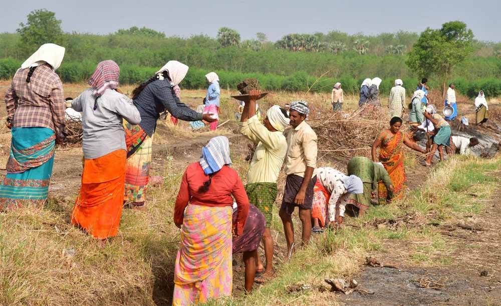 मनरेगा श्रमिकों की झारखंड में बढ़ी मजदूरी, अब 282 रूपए मिलेगी दिहाड़ी 6 मनरेगा श्रमिकों की झारखंड में बढ़ी मजदूरी अब 282 रूपए