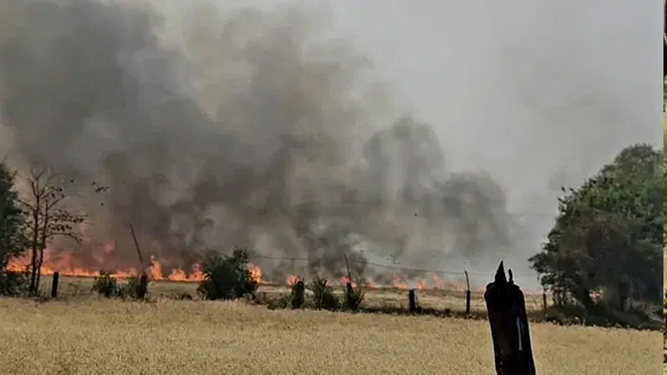 सागर जिले में नरवाई जलाने से फसलों को भारी नुकसान