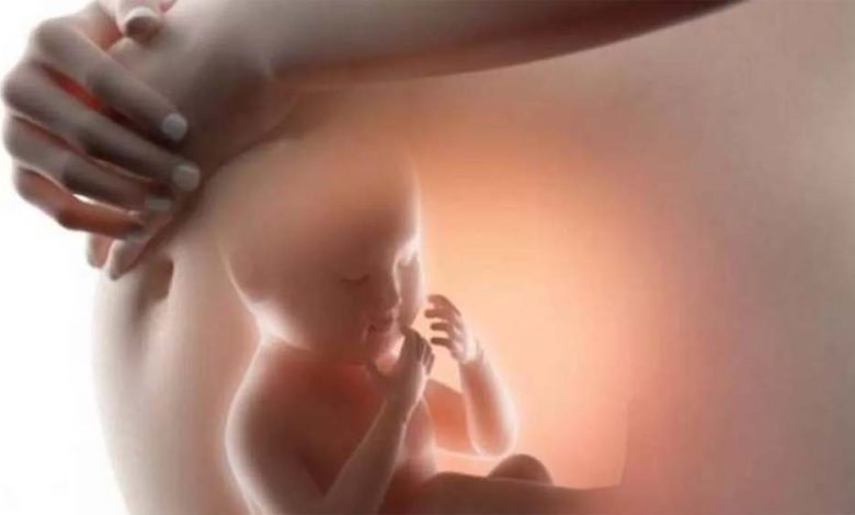 100 अस्पतालों में लगेगी सीटीजी मशीन, गर्भवती महिलाओं के डायबिटिक और रक्तचाप में उतार-चढ़ाव पर रहेगी नजर 1 100 अस्पतालों में लगेगी सीटीजी मशीन गर्भवती महिलाओं के डायबिटिक