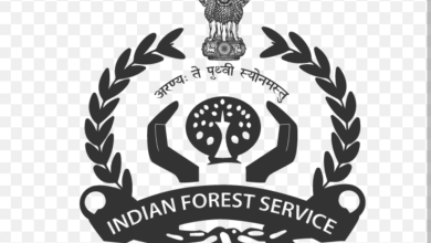 Screenshot 20250413 170910.Chrome28129