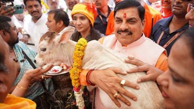 गौ शालाओं से मध्यप्रदेश में गौ सेवा की लिखेंगे नई इबारत