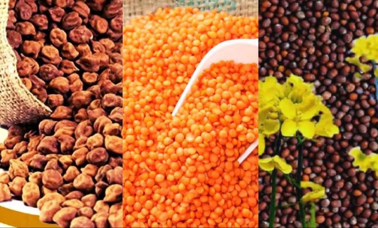 चना मसूर एवं सरसों के उपार्जन एवं तुअर के पंजीयन