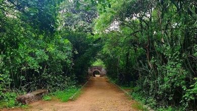 जबलपुर के ठाकुरताल से लगी पहाड़ी पर शहर का पहला