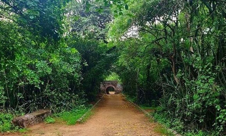 जबलपुर के ठाकुरताल से लगी पहाड़ी पर शहर का पहला