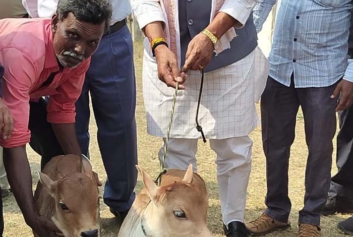 पशुपालन राज्य मंत्री पटेल ने किया पुंगनूर संरक्षण एवं अनुसंधान केन्द्र, पालमनेर का भ्रमण 1 पशुपालन राज्य मंत्री पटेल ने किया पुंगनूर संरक्षण एवं अनुसंधान