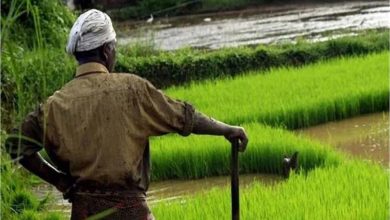 प्रदेश में किसानों को ट्यूबवेल कनेक्शन के लिए बिजली सब्सिडी