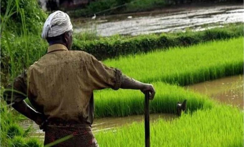 प्रदेश में किसानों को ट्यूबवेल कनेक्शन के लिए बिजली सब्सिडी पहले की तरह मिलती रहेगी 1 प्रदेश में किसानों को ट्यूबवेल कनेक्शन के लिए बिजली सब्सिडी