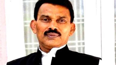 प्रदेश में निरंतर बढ़ रहा है सिंचाई का रकबा