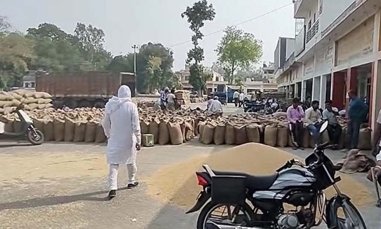 मंडियों में आढ़तियों द्वारा खरीदे जा रहे गेहूं को लेकर सीएम फ्लाइंग की टीम ने की रेड 1 मंडियों में आढ़तियों द्वारा खरीदे जा रहे गेहूं को लेकर