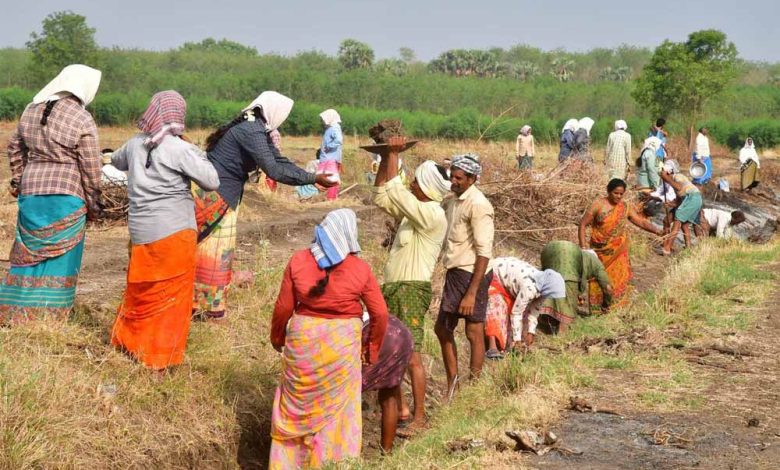 मनरेगा श्रमिकों की झारखंड में बढ़ी मजदूरी, अब 282 रूपए मिलेगी दिहाड़ी 1 मनरेगा श्रमिकों की झारखंड में बढ़ी मजदूरी अब 282 रूपए